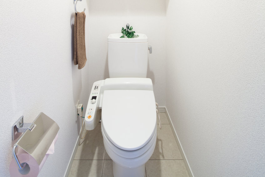 Pourquoi devriez-vous craquer pour des WC Japonais